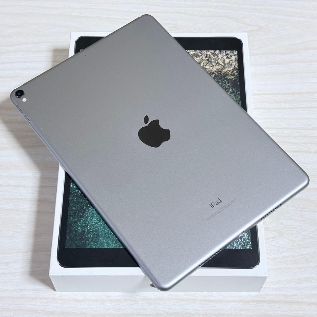 う*に様 美品 Apple iPad Pro 10.5インチ 256GB スペー