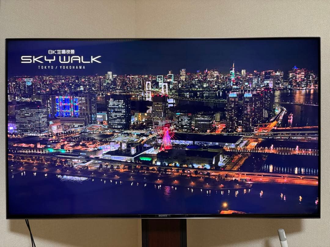 SONY BRAVIA KJ-55X9500H（2021年製）