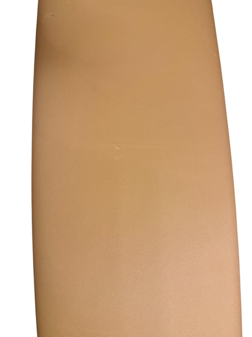 Beach Access ビーチアクセス ロング ソフトボード 8.0 73L