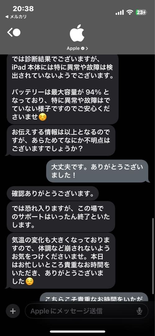 【美品】 iPad Pro 12.9(第6世代)256GB+pencil