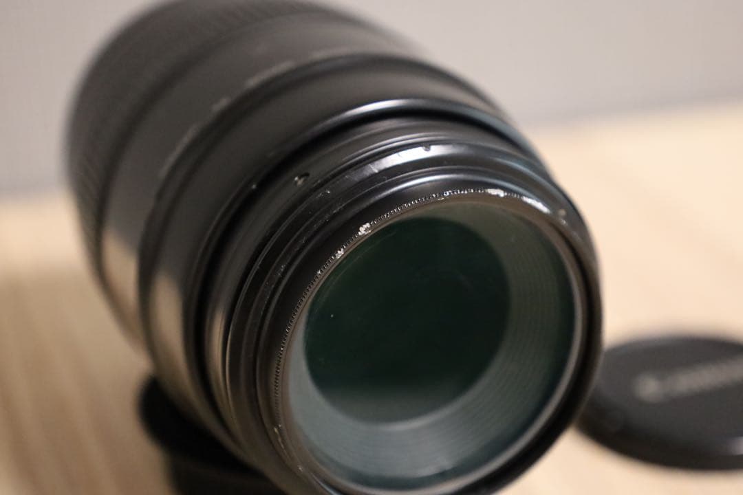 CANON EF 100mm F2.8 マクロ