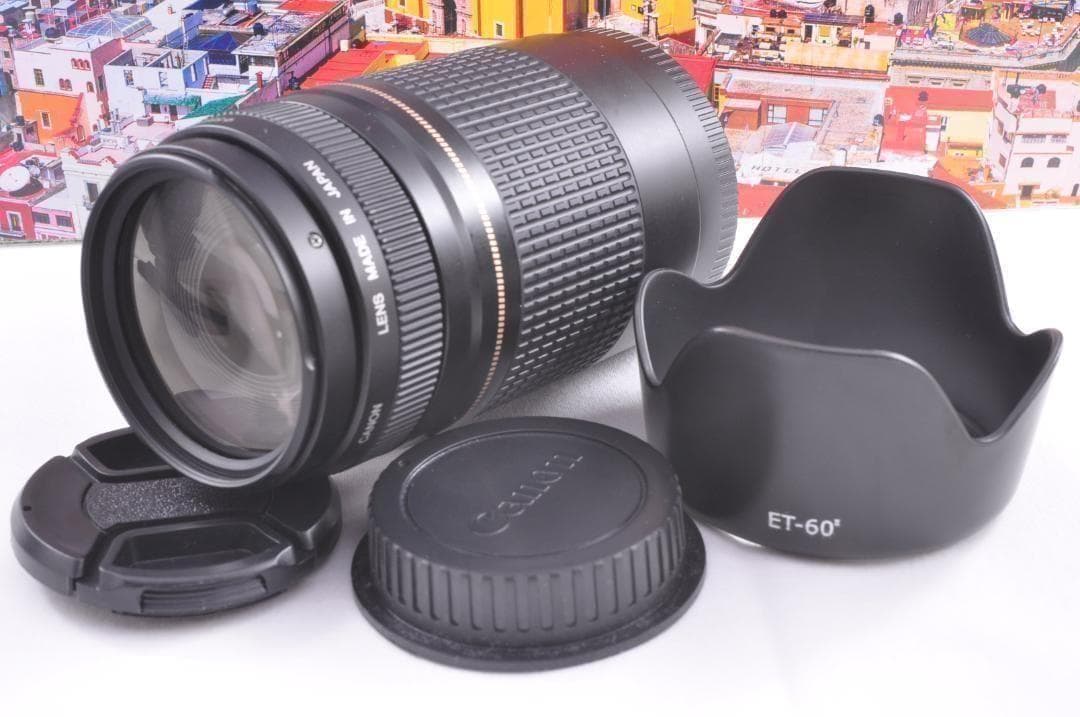 望遠レンズ Canon キヤノン EF75-300mm 想い出の瞬間 完動品