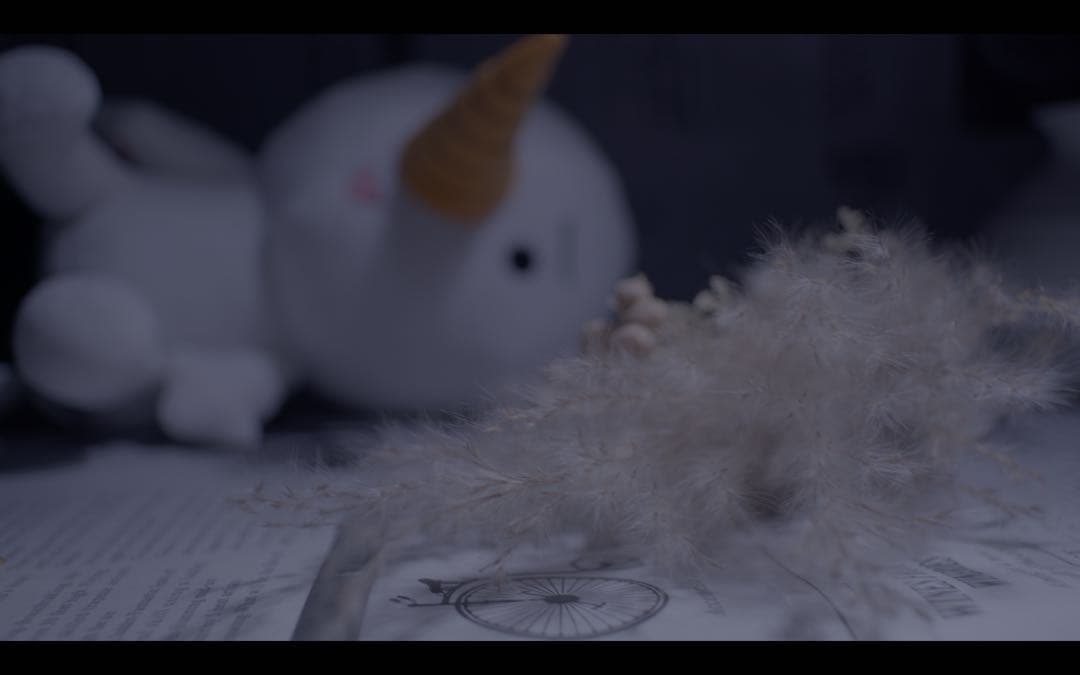 レンズ(単焦点) super takumar 24mm f3.5 m42