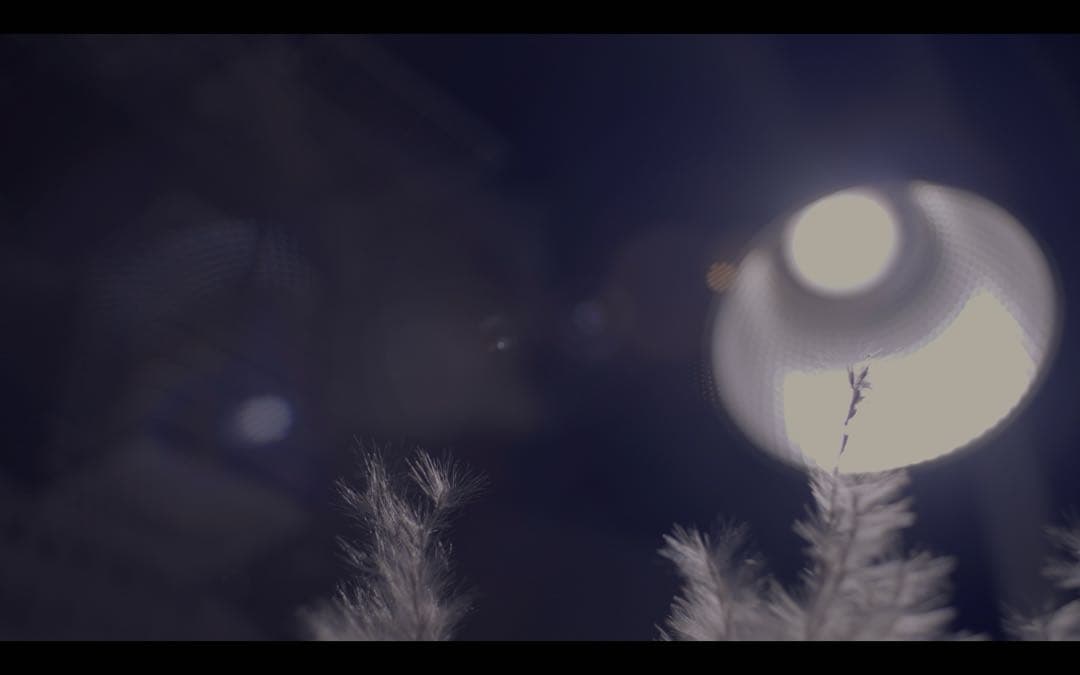 レンズ(単焦点) super takumar 24mm f3.5 m42