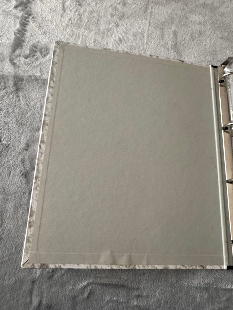 エヴァ カードダスマスターズ ファイル まとめ売り