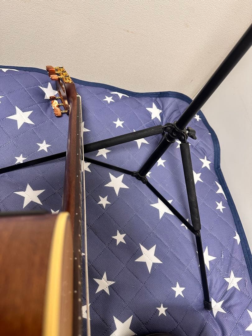 TAKAMINE P3FCN エレガッドギター超美品