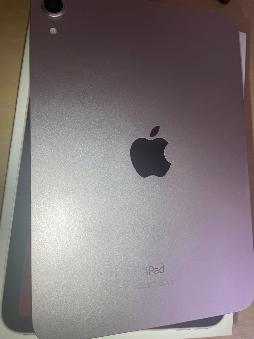 Apple iPad mini ピンク 8.3インチ 本体(ジャンク)