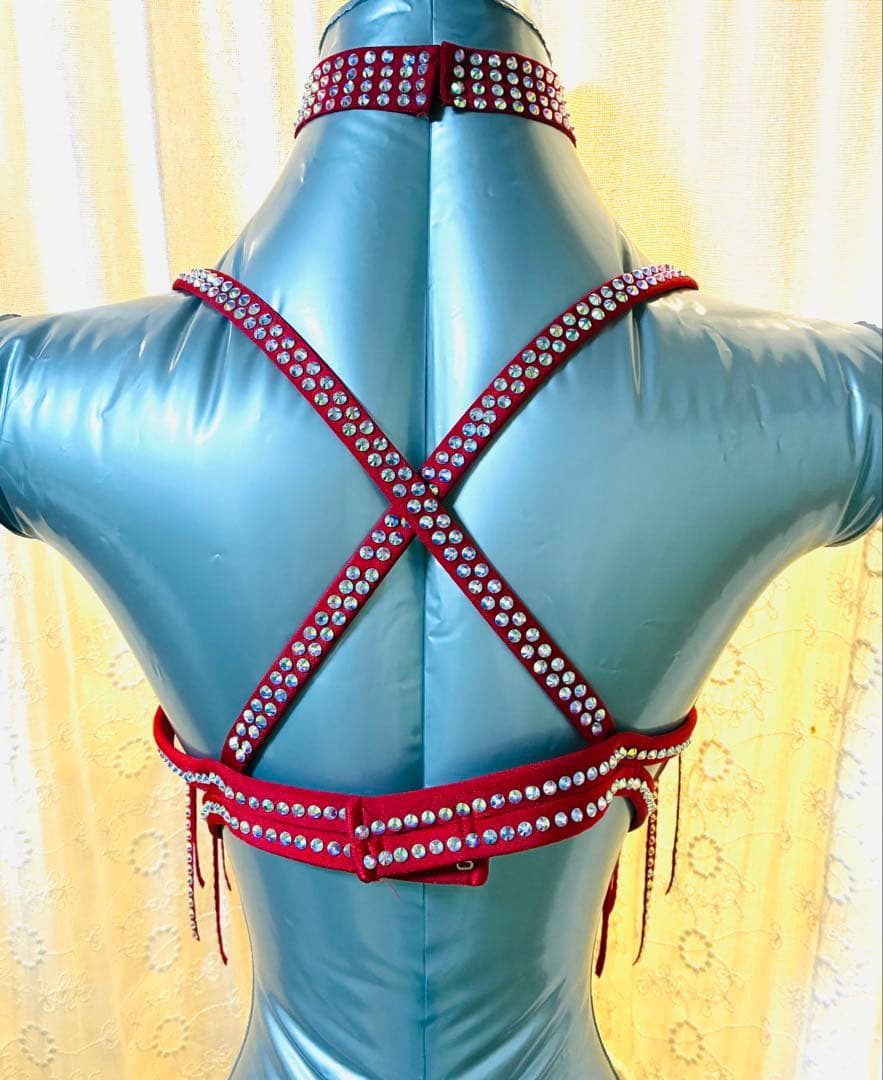 ベリーダンス衣装 / Mサイズ / 赤 / ブラ・スカート・チョーカー3点セット