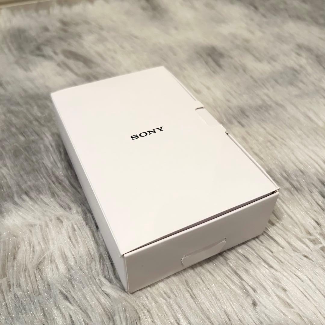 【極美品】SONY NW-A55 ペールゴールド　箱付き