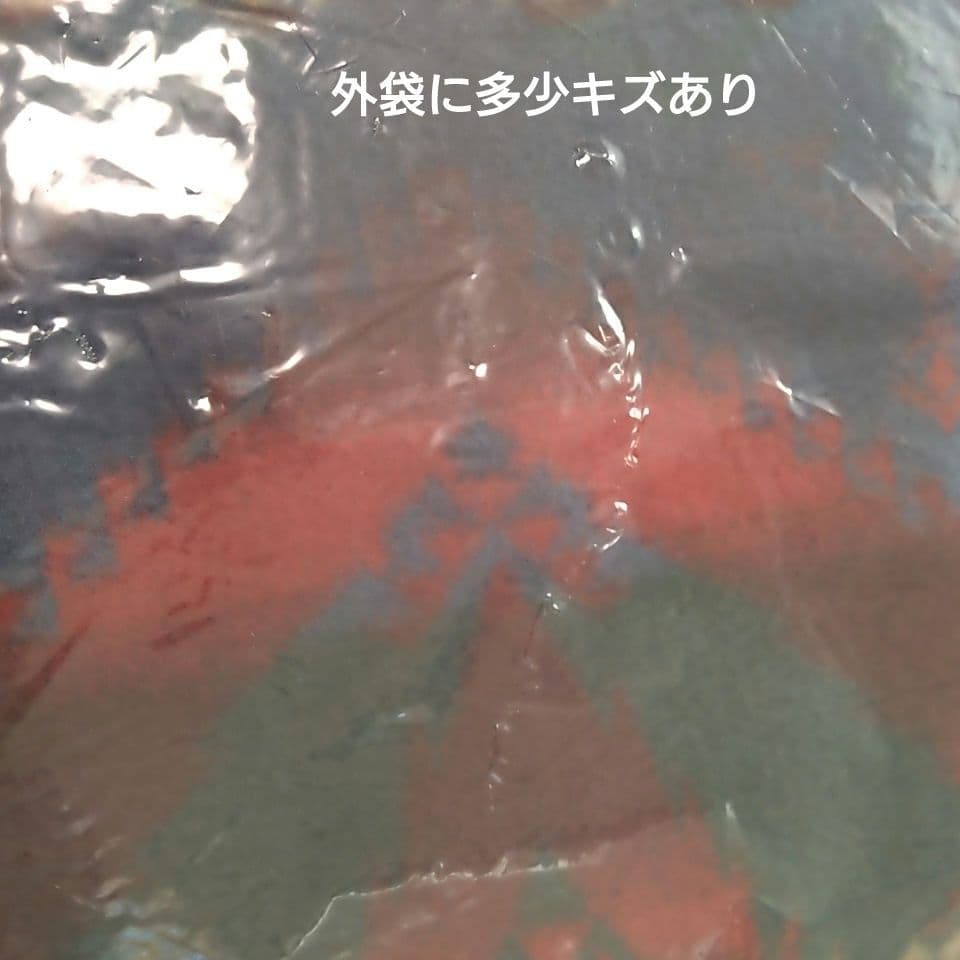 新品 ラルフローレンホーム グリーンビーコン スタジアムブランケット ネイティブ