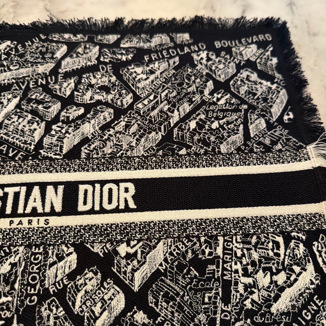 Christian Dior パリ地図 ランチョンマット