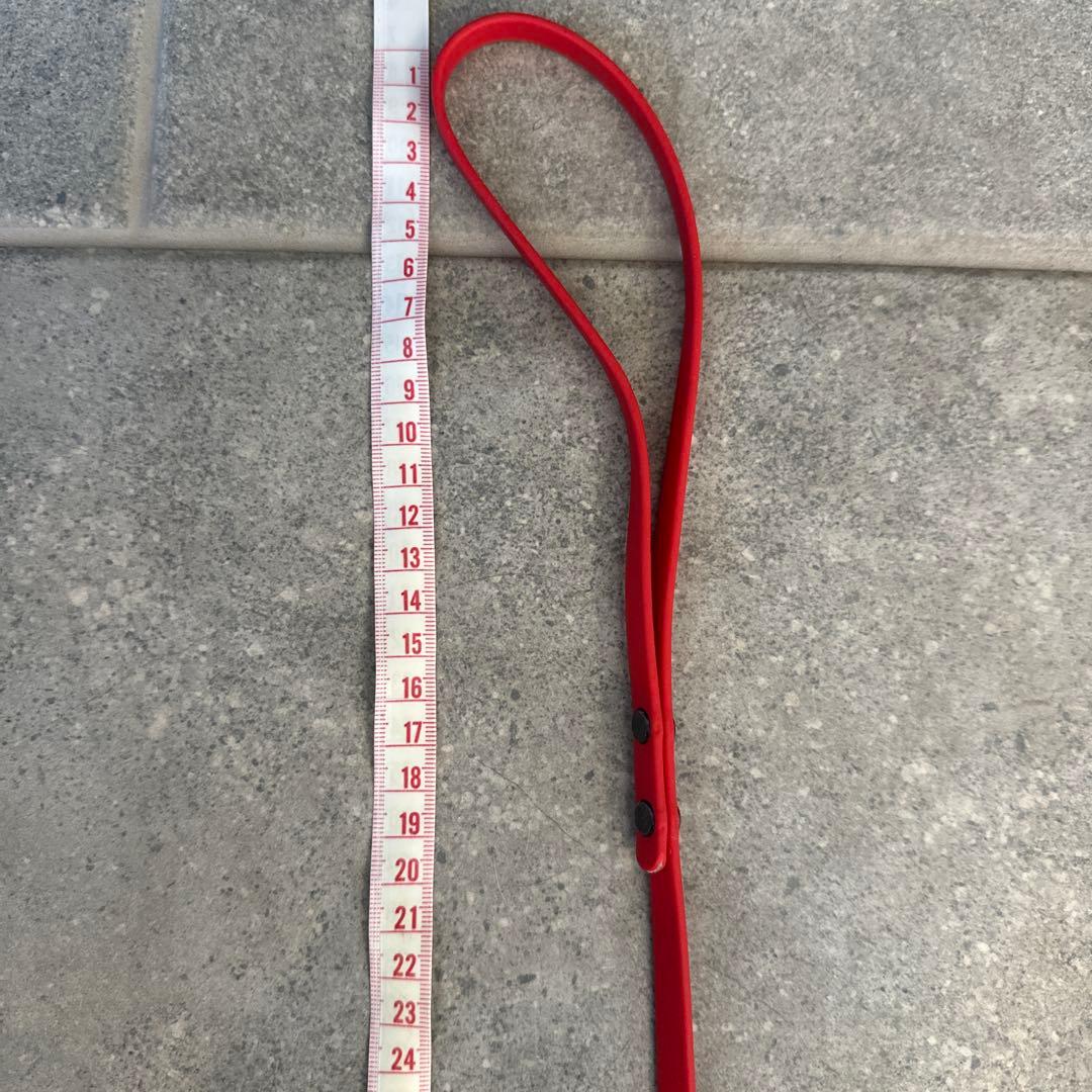 リード3点（赤、青、オレンジ）、TORACリード1点