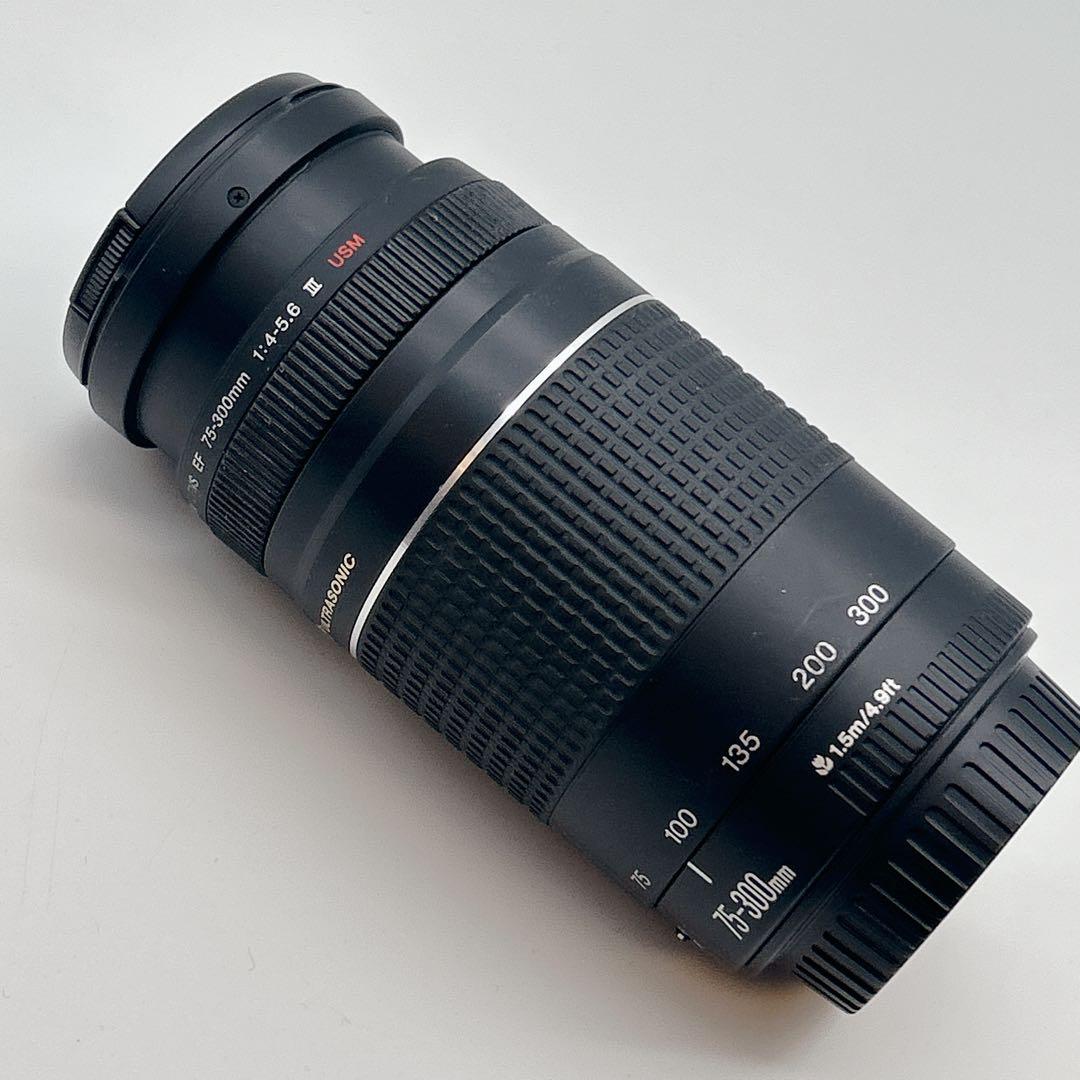 【美品】CANON 望遠レンズEF 75-300mm 1:4-5.6 Ⅲ