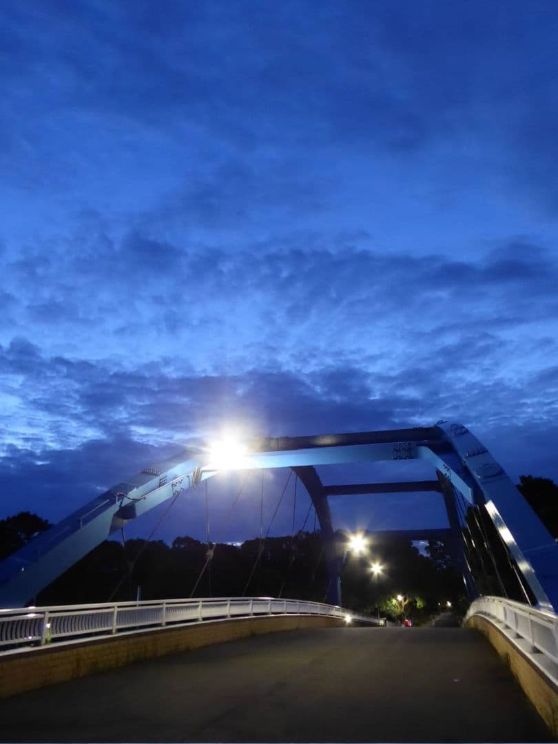 LUMIX DMC-TZ70 光学30倍ズーム バッテリー×3 SDカード付き