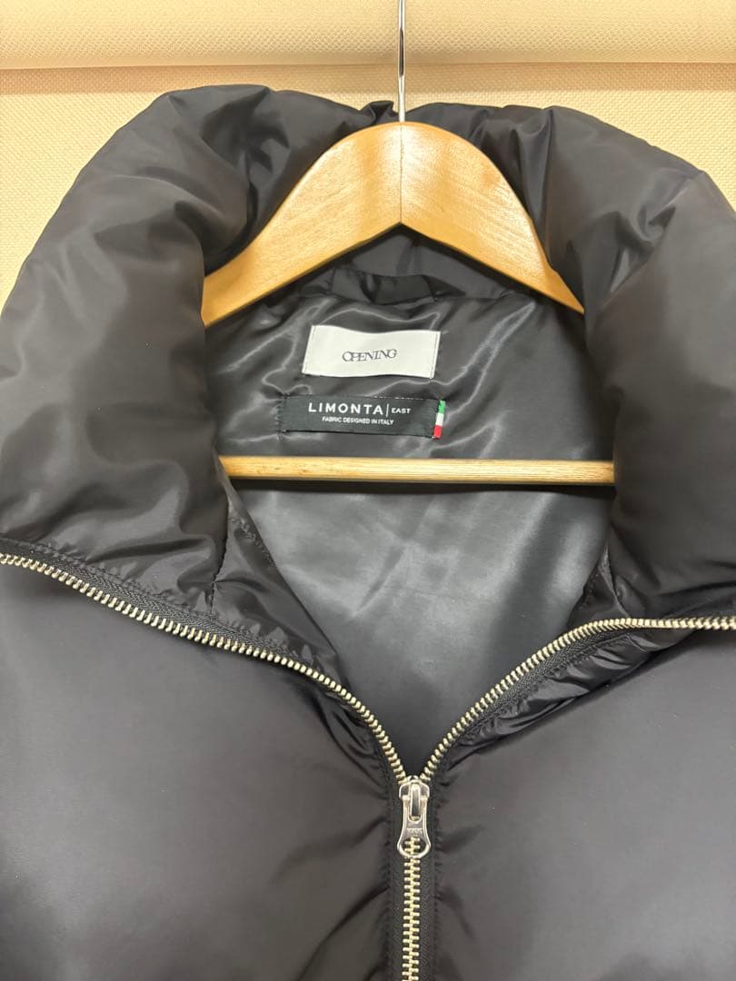 LIMONTAナイロン600フィルパワーダウンハイネックダウンジャケット