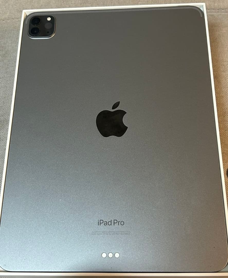 Apple iPad Pro (11インチ) 256GB 第４世代