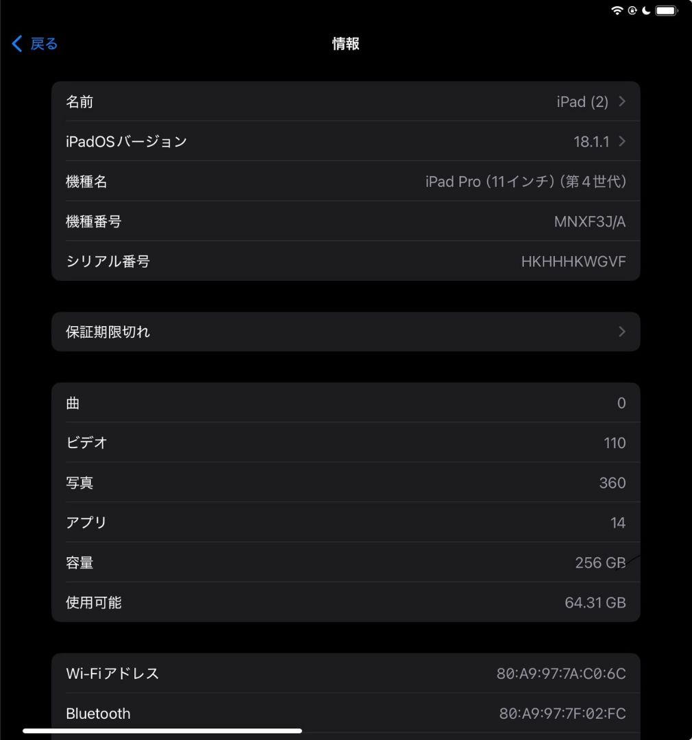 Apple iPad Pro (11インチ) 256GB 第４世代