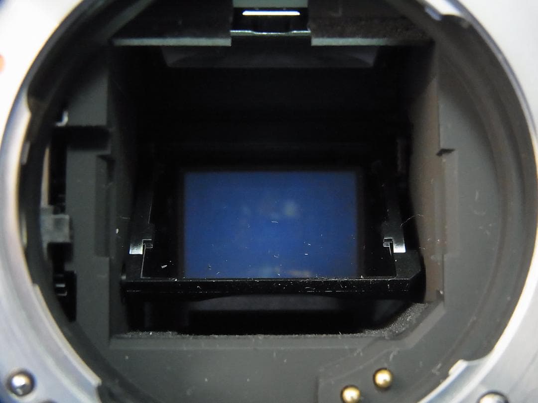 #3547 PENTAX K-30 黒死病 LiveViewにて撮影