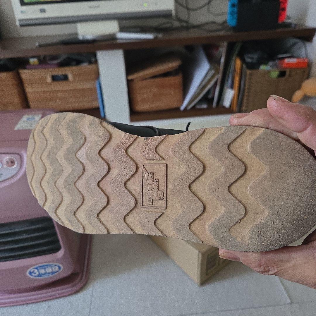 T*h様 レッドウィング　アイリッシュセッター　黒　8½D 犬タグ