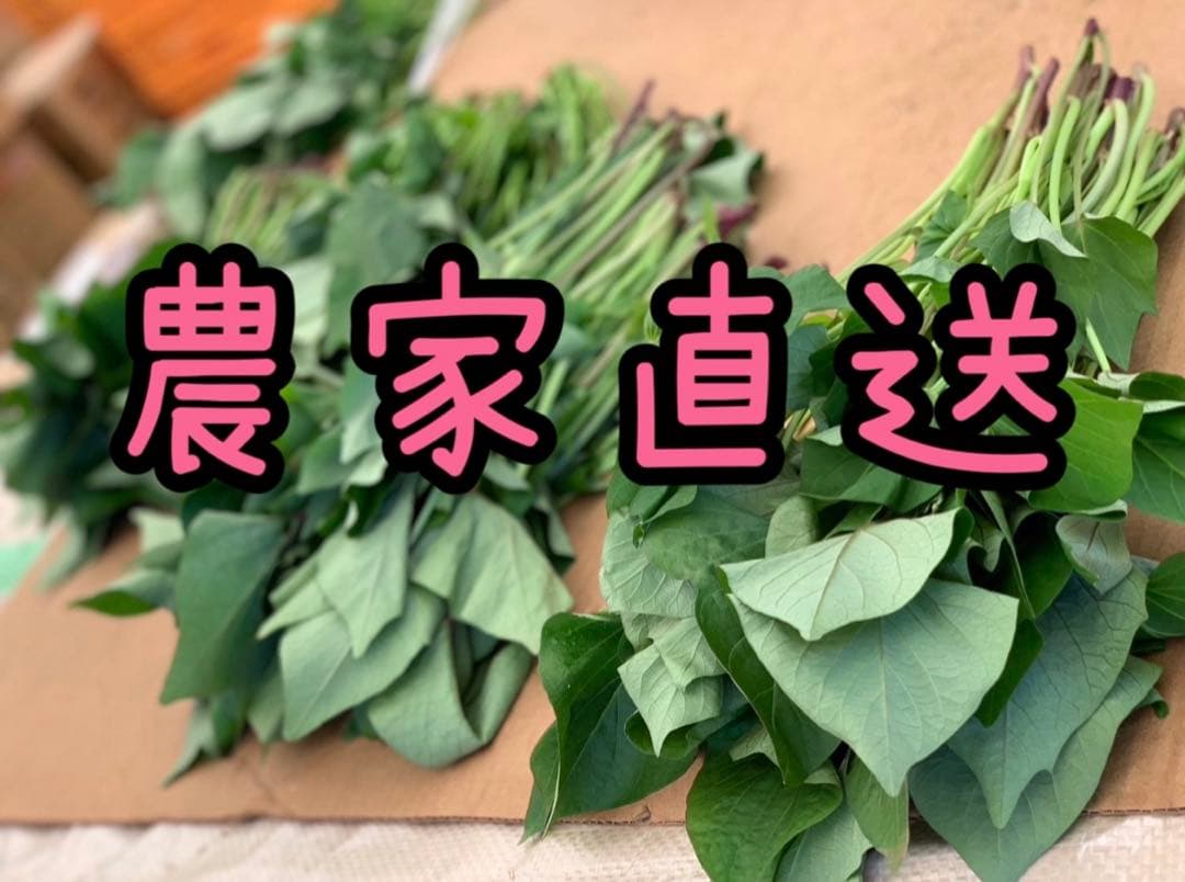 【予約受付中】紅はるか苗☆ウイルスフリー 2,000本 4月上旬から発送開始