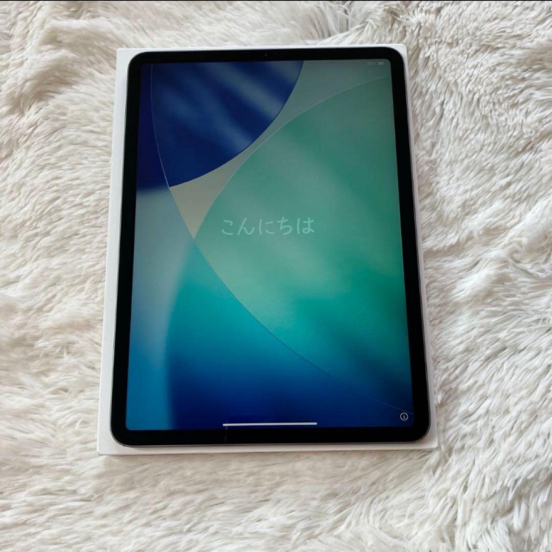 【完動品】iPad Pro 11インチ 第2世代 256GB 【すぐ発送】