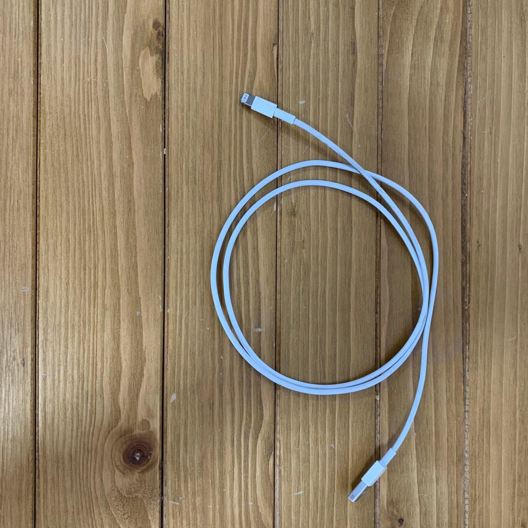 Apple iPadmini4 128GB シルバー 本体 おまけケース付き