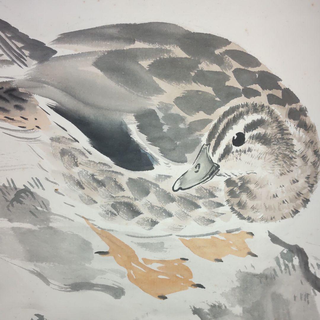 荒木十畝習作‐水鳥図‐無落款