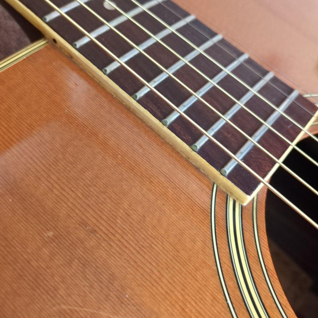 MORRIS モーリス W-35 寺田楽器 アコースティックギター