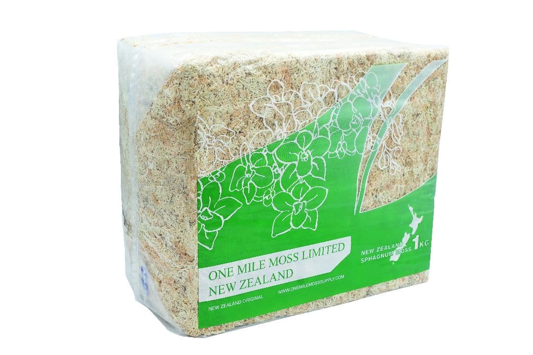 【バイオキミア】 ミズコケ 5A ニュージーランド産 1kg