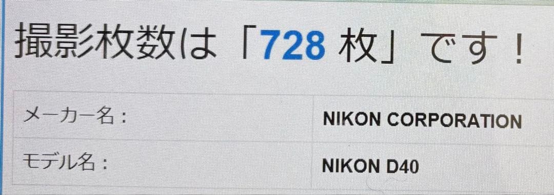 ✨シャッター数僅か728回✨Nikon D40✨シングルレンズ✨入門モデル✨