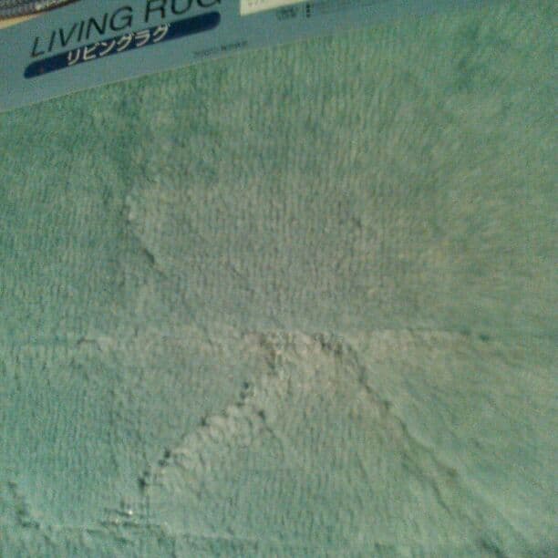 HOTカバー（GR)3畳用（200*250)&アクセントラグルに