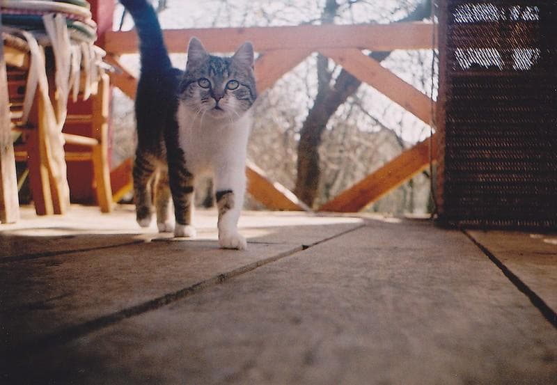 46　美品　ロモ　LOMO スメナ8 40mm F4.0 アダプター付 L39