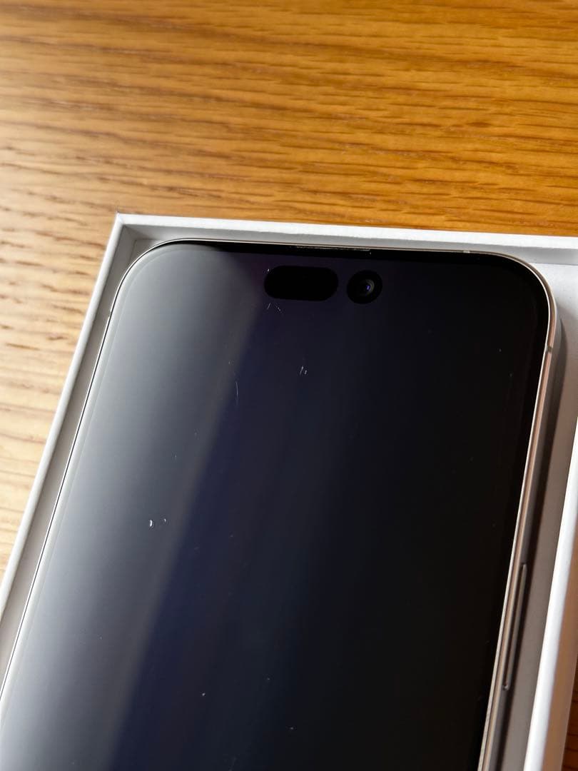 [山口さん専用]Apple iPhone 15 Pro Max 256GB 本体