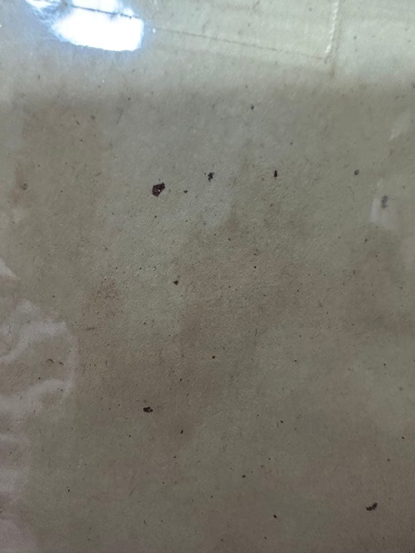 少女漫画なかよし 創刊30周年記念　松本洋子先生 直筆サイン色紙