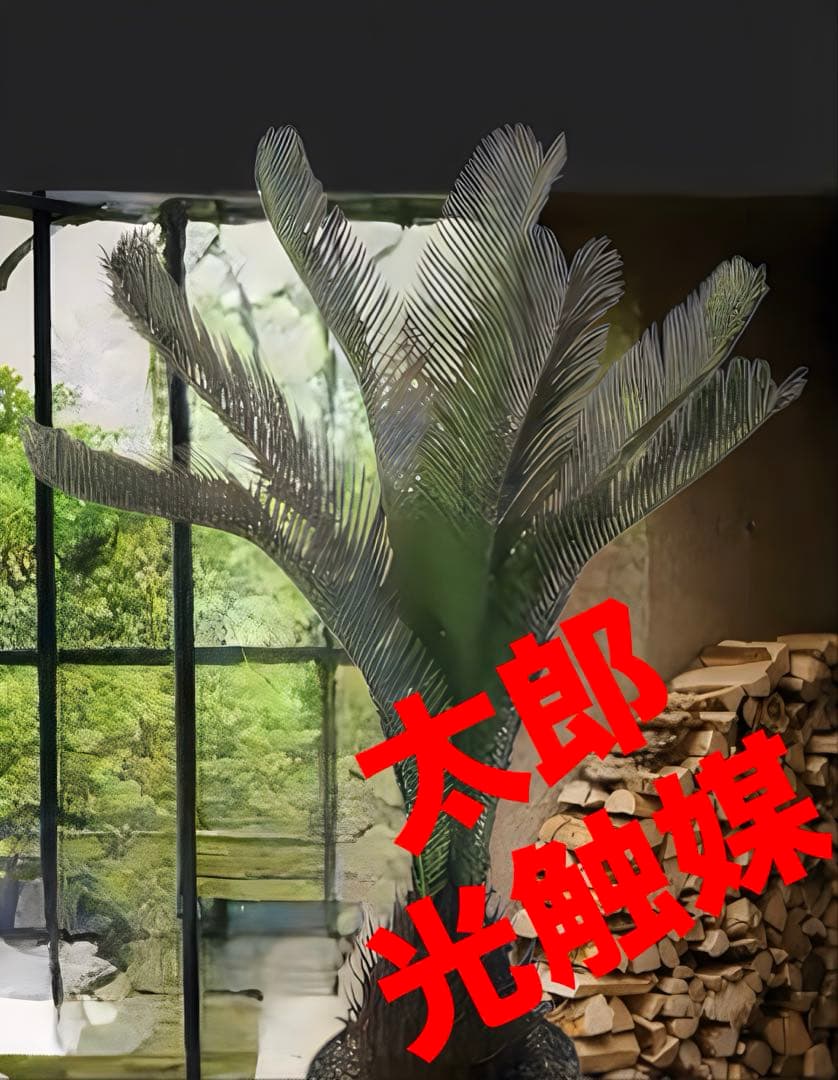 光触媒　人工観葉植物　ウォールグリーン　フェイクグリーン　ソテツ120