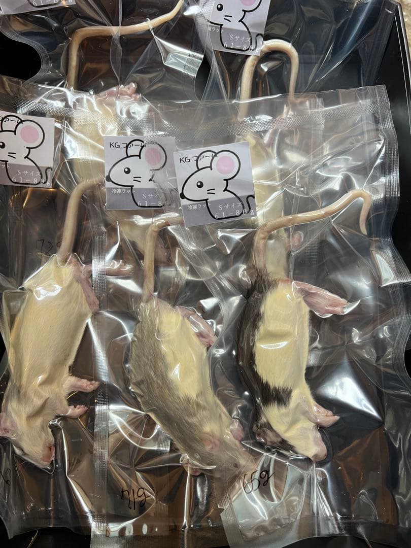 ☆冷凍ラット☆にゃしゅ様ご予約品　リタイア20匹