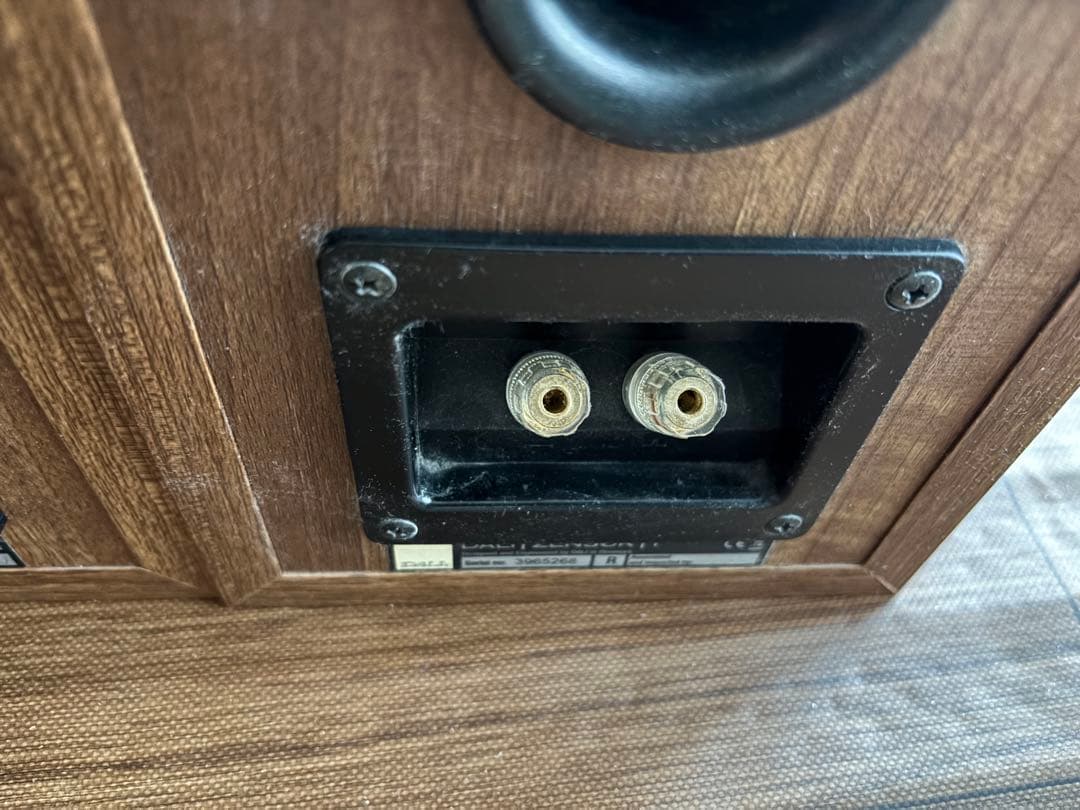 Dali Zensor 1 (ご希望者にはケーブルと中華製アンプお付けします！)