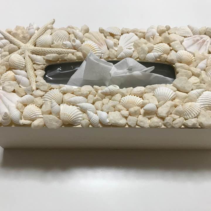 ティッシュケース 西海岸 貝殻 シェル ロンハーマン