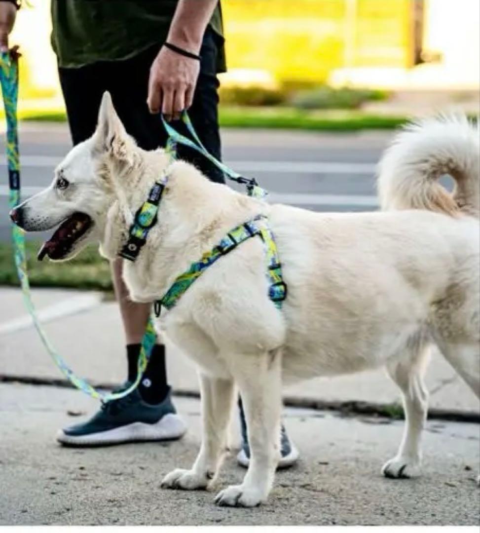 新品未使用‼️ WOLFGANG 3点セットSサイズ