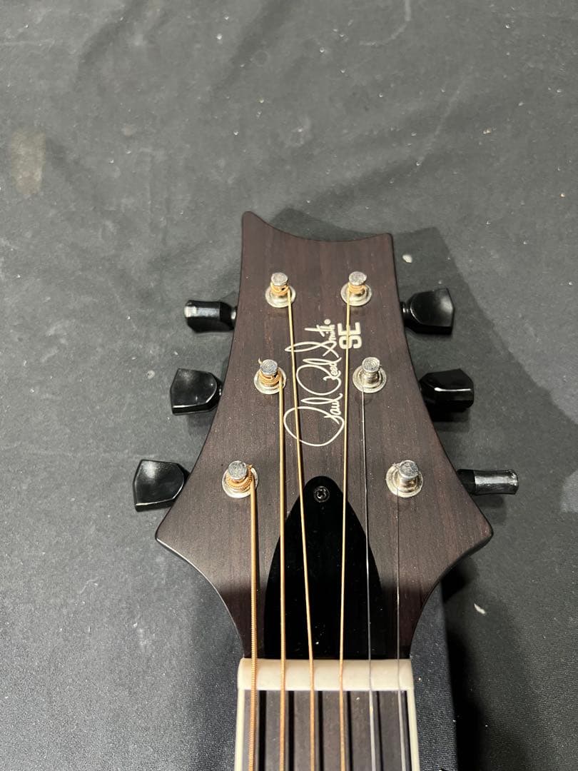 Paul reed smith P20E Doghair 美品