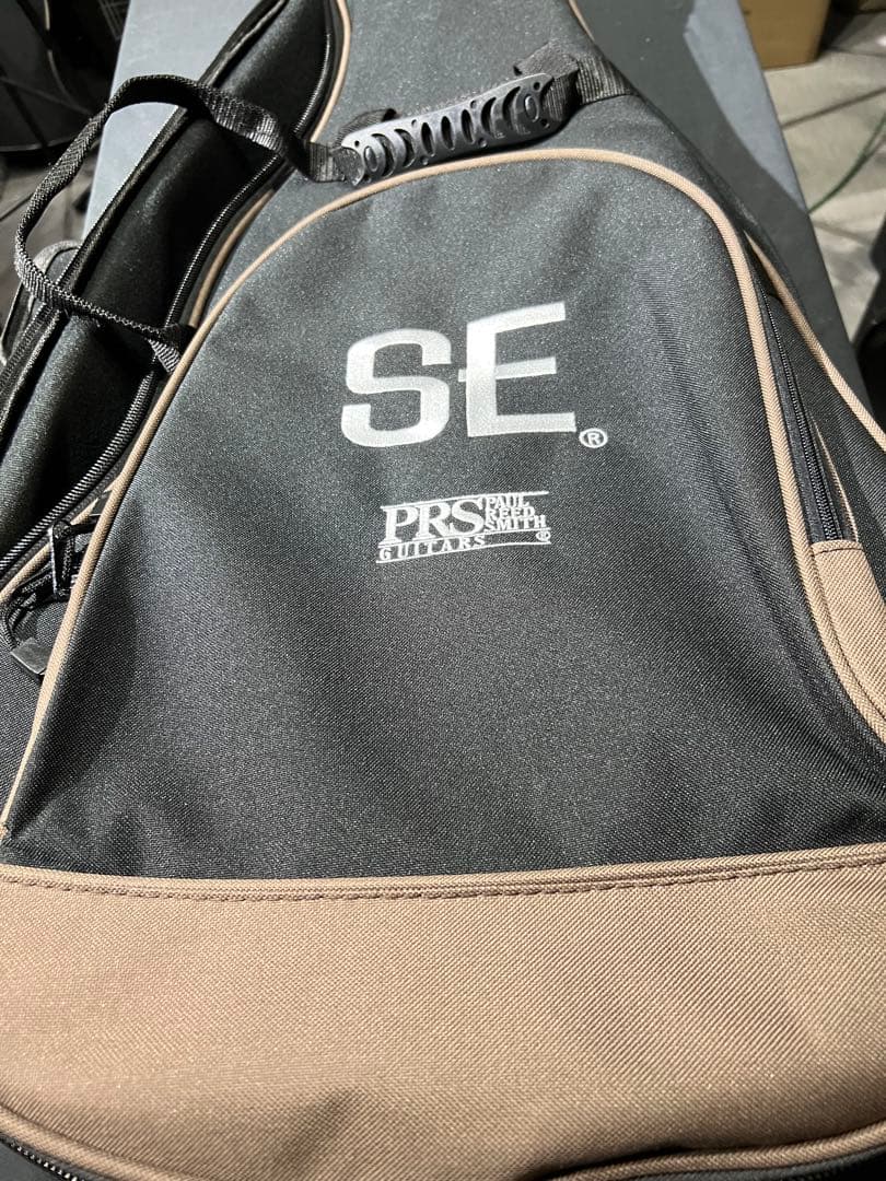 Paul reed smith P20E Doghair 美品