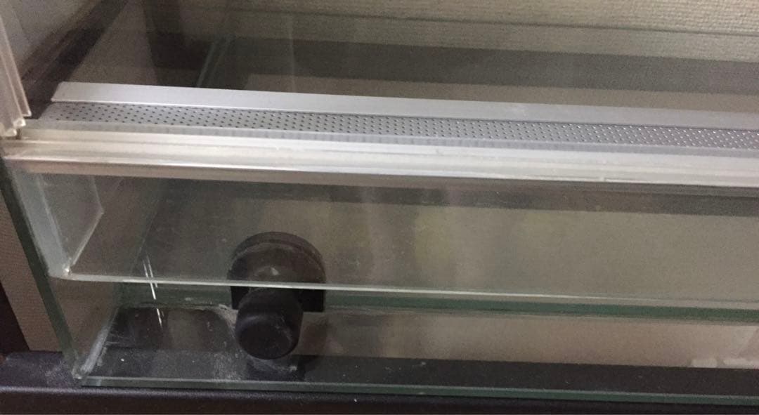 Rain Forest PCP6045 パルダリウムケージ 引取り限定専用