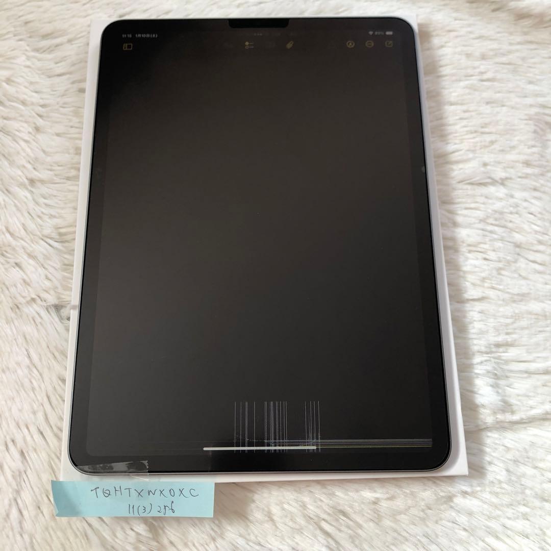 【早い者勝ち】iPad Pro 11インチ 256GB SIMフリー 【即発送】