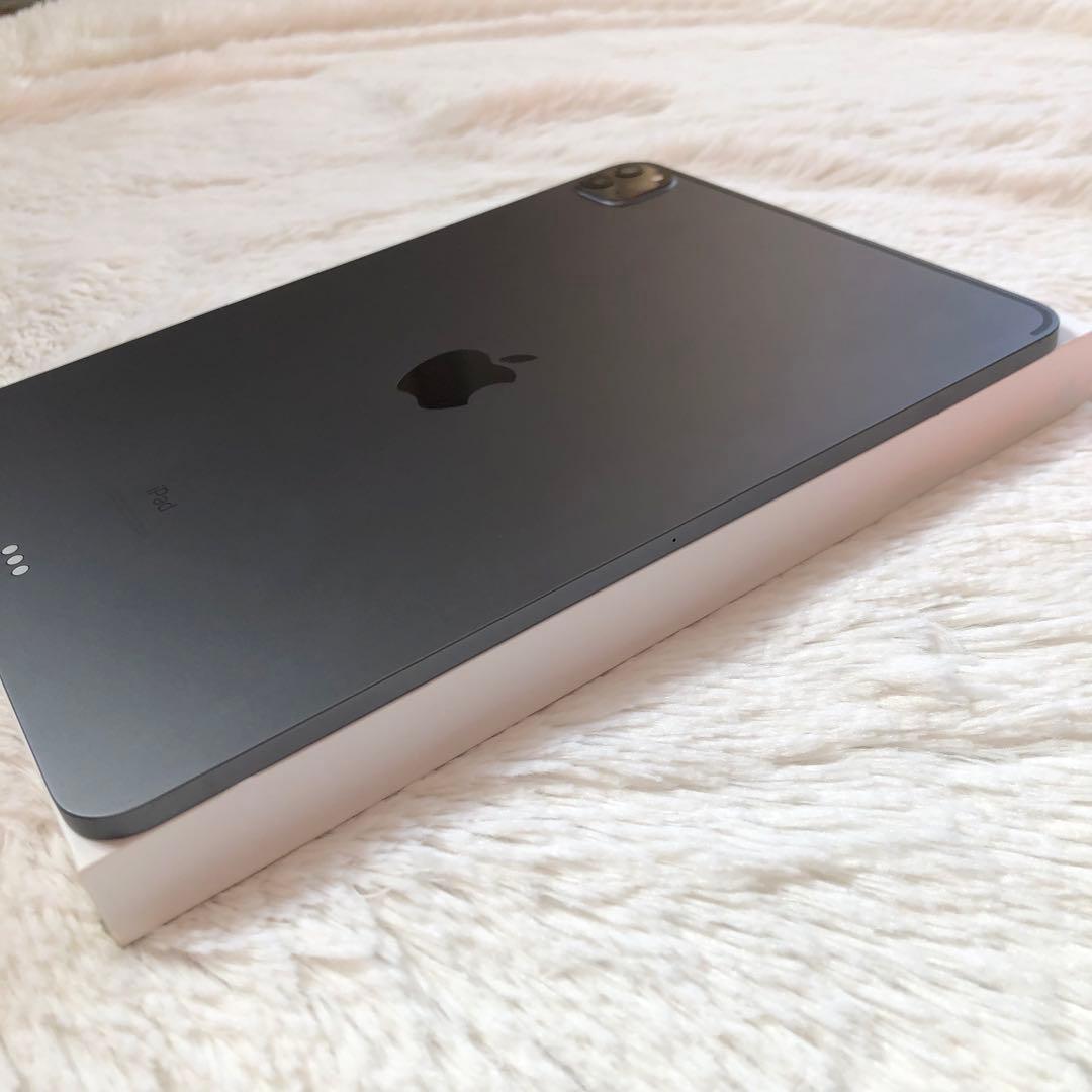 【早い者勝ち】iPad Pro 11インチ 256GB SIMフリー 【即発送】