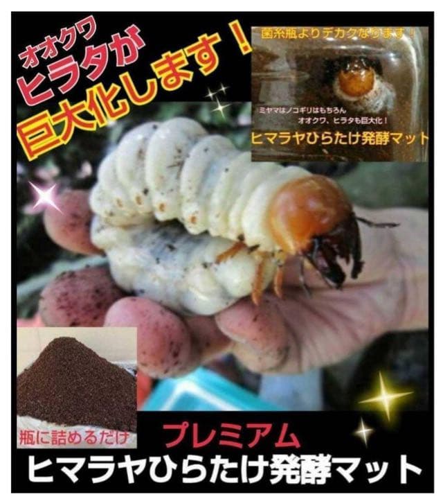 ミヤマクワガタ、ノコギリ幼虫に抜群！800mlボトル入プレミアム発酵マット40本