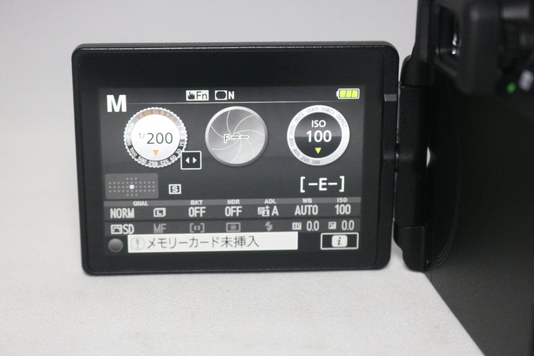 11/1まで美品⭐S回数少シリーズ最新！望遠レンズキット⭐️Nikon D5600