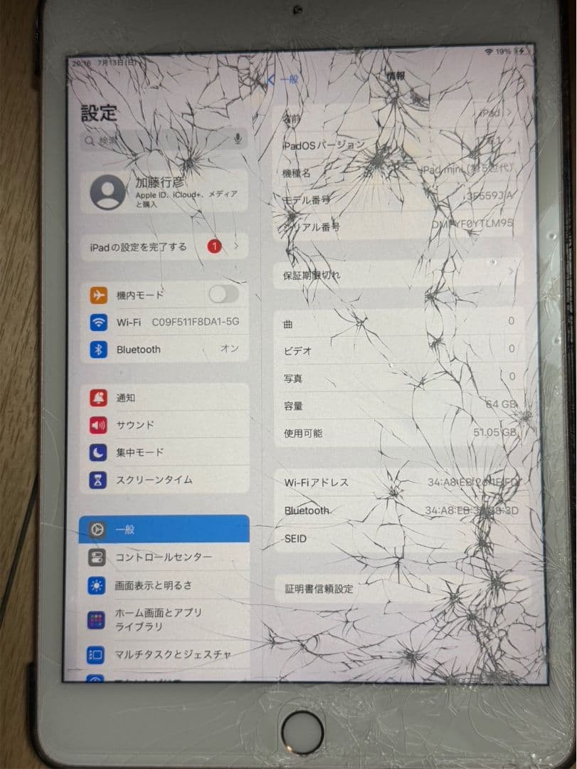 ジャンク品 iPad mini 第5世代 64GB ゴールド - 液晶割れ