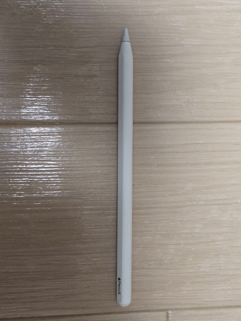 iPad Pro 12.9 第6世代 M2 256GB Wi-Fi ペン付き