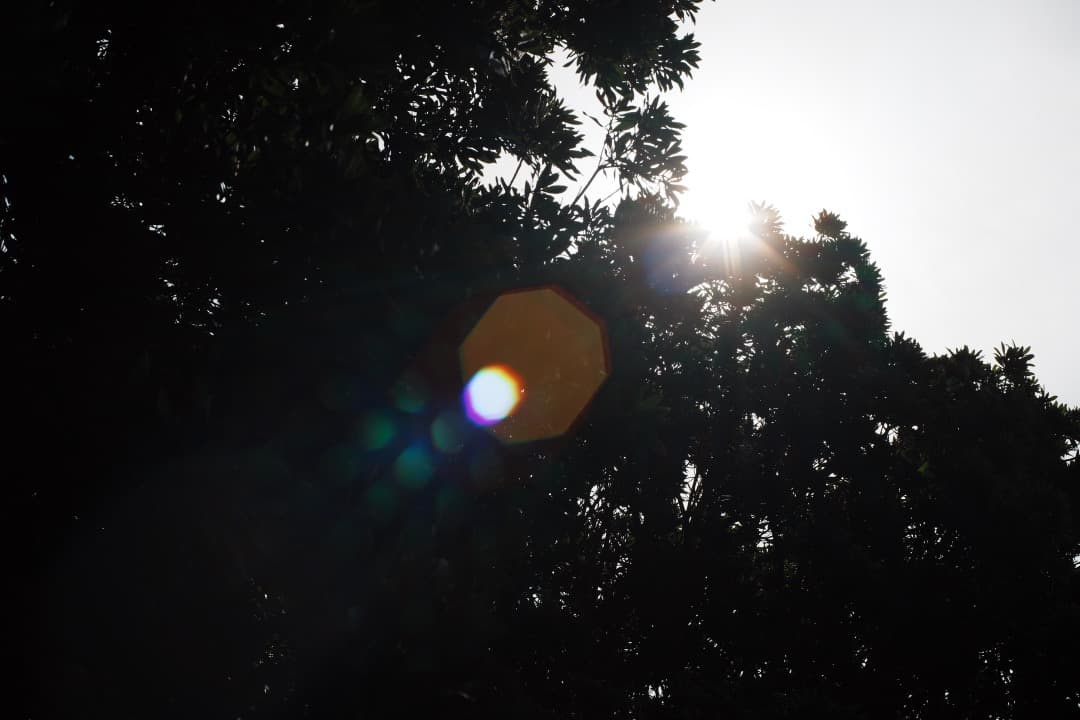 【鷹の目】ミノルタ MC-ROKKOR PG 58mm F1.2 後期 638