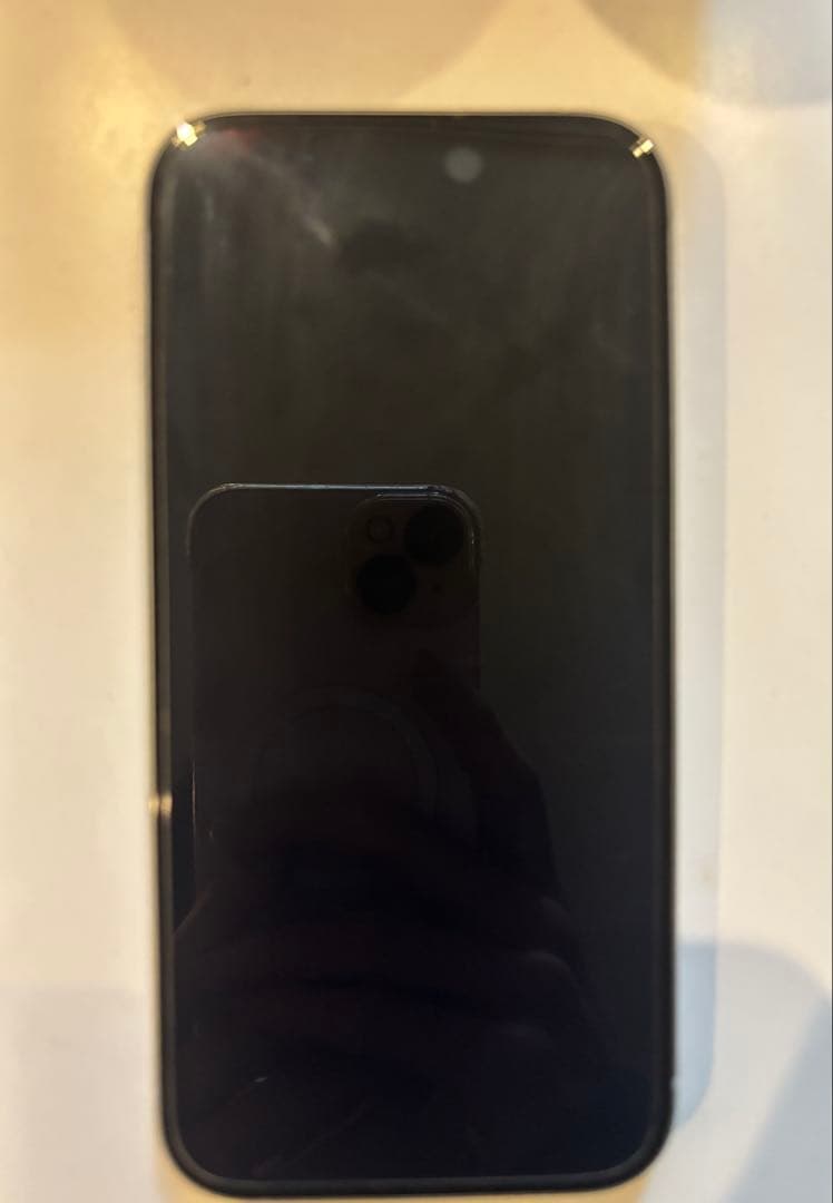 Apple iPhone 15 128GBジャンク品